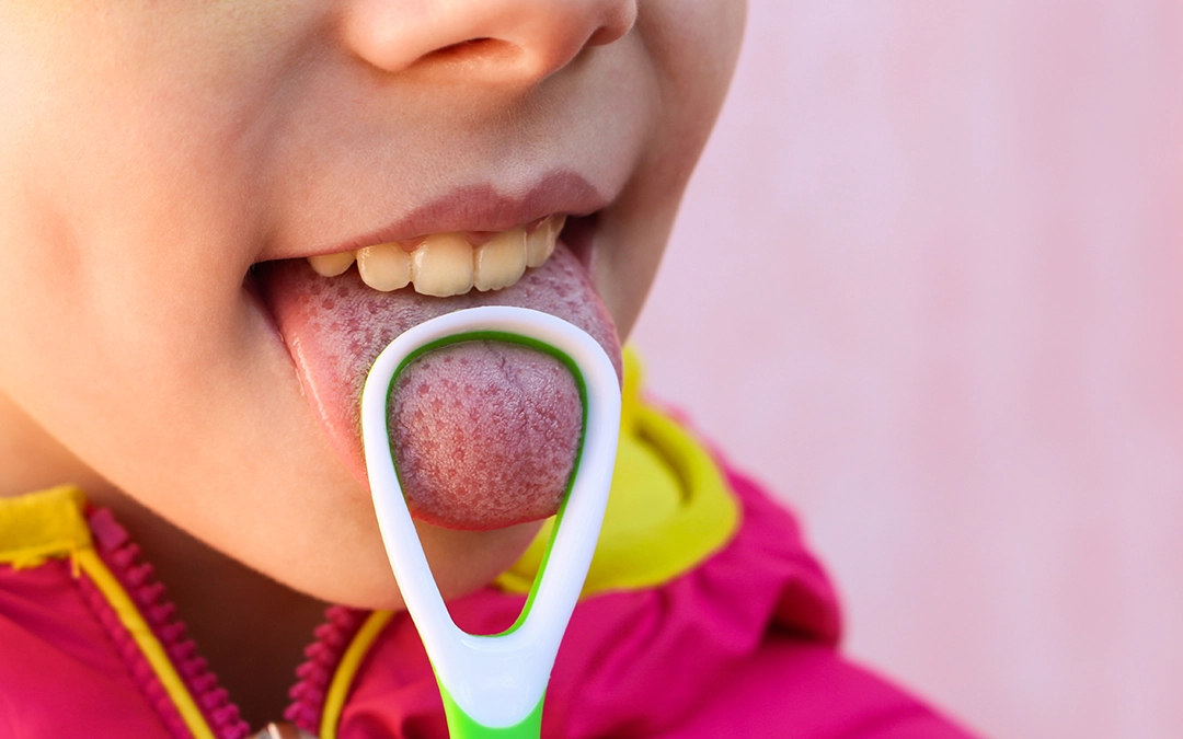 The hidden world of oral bacteria The hidden world of oral bacteria